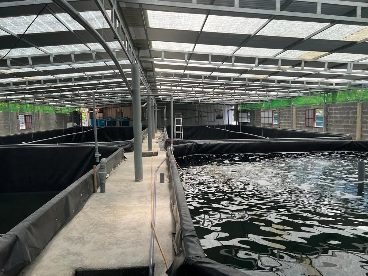 Aquaculture facility